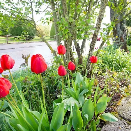 Apartament Schoene Und Helle In Pfaffenweiler *